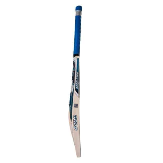 CA Gold 10000 – Premium English Willow Cricket Bat
